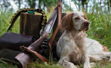 La RFEC presenta alegaciones contra los nuevos reales decretos de bienestar animal por atentar contra la caza