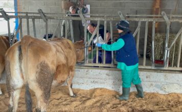 Medio Rural incrementa un 47% las ayudas a las agrupaciones de defensa sanitaria ganadera, que alcanzan ya los 250.000 euros