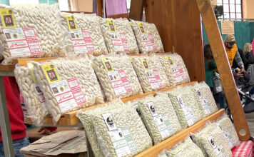 Medio Rural concede una ayuda extraordinaria de 568.000 euros a 115 productores de faba asturiana y verdina para paliar las pérdidas causadas por las lluvias en las cosechas