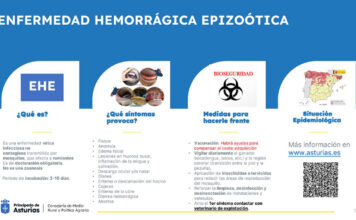 Medio Rural pide extremar las medidas de bioseguridad en las ganaderías ante el avance de enfermedades transmitidas por mosquitos en comunidades limítrofes
