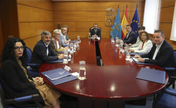 Asturias acuerda la suspensión temporal de licencias para parques de baterías en suelo no urbanizable