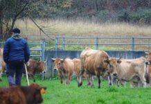 El plan Incorpórate al Agro distribuye 10 millones entre 151 personas que deciden dedicarse a la actividad agraria, 50 de ellas mayores de 40 años