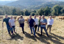 Medio Rural destina este año más de 22 millones a la incorporación al campo de jóvenes y mayores de 40 años