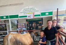 Los sementales de ASEAVA arrasan en Salamanca