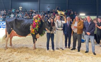 297 animales procedentes de 64 ganaderías, inscritos al 45º Concurso Nacional de la Raza Frisona CONAFE 2025