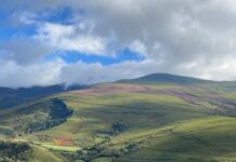 El plan anual contra incendios del Principado refuerza el control en zonas urbanoforestales y las medidas de autoprotección en pueblos y áreas de alto valor natural