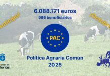 Medio Rural abona hoy seis millones de ayudas directas de la PAC a cerca de un millar de ganaderías para facilitar su liquidez