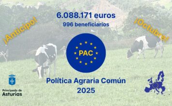 Medio Rural abona hoy seis millones de ayudas directas de la PAC a cerca de un millar de ganaderías para facilitar su liquidez