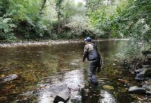 La nueva normativa de Medio Rural propone reducir un 75% las capturas de salmón y limitarlas a un ejemplar por pescador al año