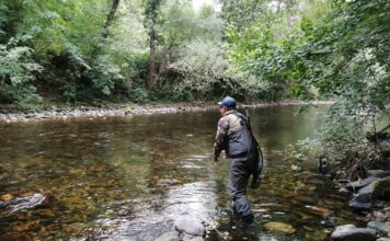 La nueva normativa de Medio Rural propone reducir un 75% las capturas de salmón y limitarlas a un ejemplar por pescador al año