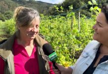 Entrevista a Espertina Mayo Bueno, productora de IGP Faba Asturiana y Verdina Marca de Garantía