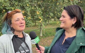 Entrevista a Begoña González Payo, titular de Arándanos y manzanas de Muñó (Siero)