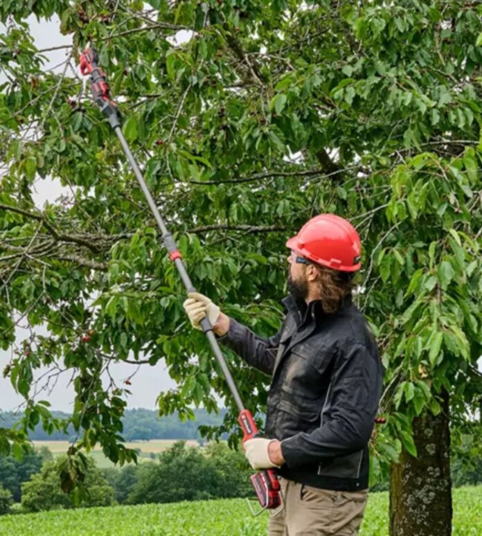 1758193808_a3b4e1193ee2180b58a34a52abe9b11f