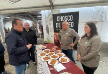 La producción de chosco de Tineo bate un récord al superar en 2024 los 74.000 kilos con indicación geográfica protegida