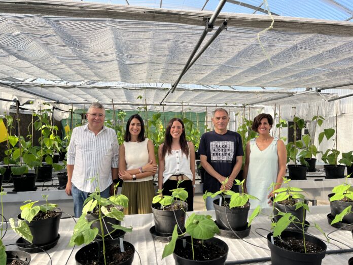 2025_11_14 equipo serida