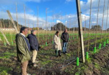 Medio Rural movilizará más de cinco millones de fondos Leader hasta 2027 para fomentar el desarrollo económico de la Comarca de la Sidra