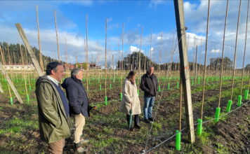 Medio Rural movilizará más de cinco millones de fondos Leader hasta 2027 para fomentar el desarrollo económico de la Comarca de la Sidra