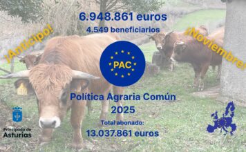 El Principado abona hoy una nueva partida de casi 7 millones de ayudas directas de la PAC a 4.549 ganaderías