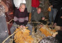 Navelgas celebrará este sábado la XXIX edición del Festival del Esfoyón y Amagosto