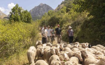 Caminos Trashumantes consolida la mayor red nacional de activación turística en torno a la trashumancia