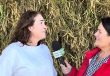 Entrevista a Carmen Huerta, productora de IGP Faba Asturiana en Orizón (Nava)
