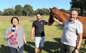 Entrevista a Alberto Riesgo Fonseca y Alberto Riesgo Martín de Yeguada Santa Lucía en Vega de Poja (Siero)