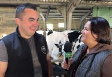 Entrevista a Borja Fernández Garrido, pte. de la Asociación Frisona de Salas (AFSA)