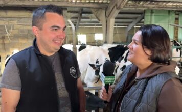 Entrevista a Borja Fernández Garrido, pte. de la Asociación Frisona de Salas (AFSA)