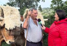 Entrevista a Luis Carreño González, ‘Luisito’, carretero de Pillarno (Castrillón)