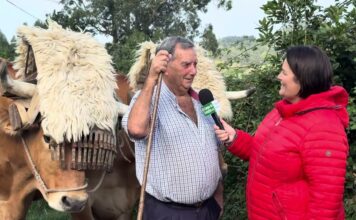 Entrevista a Luis Carreño González, ‘Luisito’, carretero de Pillarno (Castrillón)