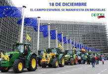 Más de un centenar de agricultores y ganaderos de COAG participarán el 18 de diciembre en Bruselas en la gran manifestación del campo europeo