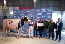 César Álvarez, alcalde de Vegadeo, será el pregonero de MOEXMU 2026