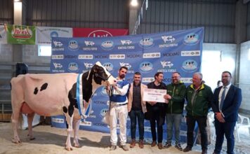 César Álvarez, alcalde de Vegadeo, será el pregonero de MOEXMU 2026