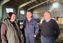 Entrevista a Paulino y Alberto Parrondo de Ganadería Parrondo S.C. de Bustellán (Tineo)