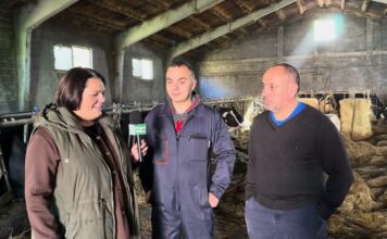 Entrevista a Paulino y Alberto Parrondo de Ganadería Parrondo S.C. de Bustellán (Tineo)