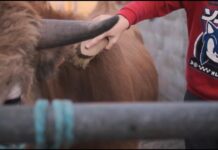 𝐏𝐑𝐎𝐆𝐑𝐀𝐌𝐀 𝐃𝐄 𝐍𝐀𝐕𝐈𝐃𝐀𝐃 ❜𝐌𝐈𝐑𝐀𝐍𝐃𝐎 𝐀𝐋 𝐅𝐔𝐓𝐔𝐑𝐎❜, 𝐆𝐀𝐍𝐀𝐃𝐄𝐑𝐎𝐒 𝐃𝐄 𝐂𝐔𝐍𝐀