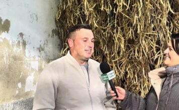 Entrevista a Javier Menéndez Martínez, productor de IGP Faba Asturiana, Fabas El Tareno, de Valdés