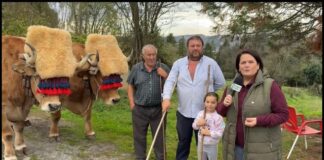 Entrevista Gil y Alejandro González, carreteros de Toleo (Fitoria-Oviedo)