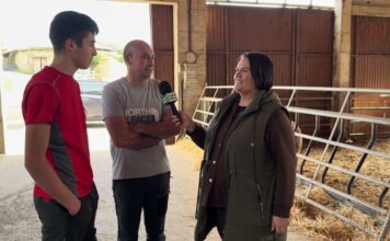 Entrevista a Luis y David González de Ganadería Luyeda S.C. de Las Paniciegas (Tineo)