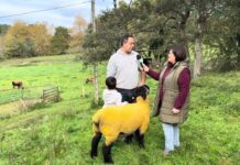 Entrevista a Daniel Cueto de Guadamía Suffolk, ganadería de Belmonte de Pría (Llanes)