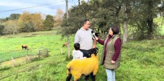 Entrevista a Daniel Cueto de Guadamía Suffolk, ganadería de Belmonte de Pría (Llanes)