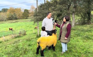 Entrevista a Daniel Cueto de Guadamía Suffolk, ganadería de Belmonte de Pría (Llanes)
