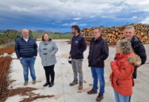 Medio Rural destina 406.000 euros a la restauración y mejora del aprovechamiento de varios montes públicos en Tineo