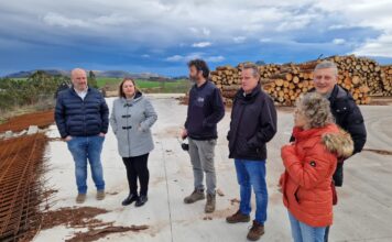 Medio Rural destina 406.000 euros a la restauración y mejora del aprovechamiento de varios montes públicos en Tineo