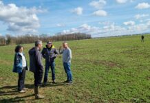 El Serida desarrolla un modelo de teledetección que permitirá mejorar el control de las poblaciones de rata topera en los cultivos