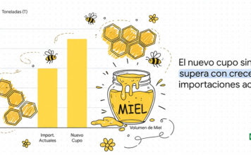 UE-Mercosur: Bruselas sacrifica la apicultura para alimentar el negocio de las multinacionales