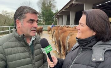 Nino Rodríguez, pte. de Aseamo sobre la Subasta Nacional de Sementales del 17 de enero