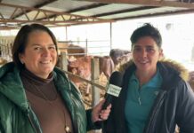 Isabel Pruneda Bode, titular de Ganadería Villa Pruneda y comercializadora Vipru Bimenes