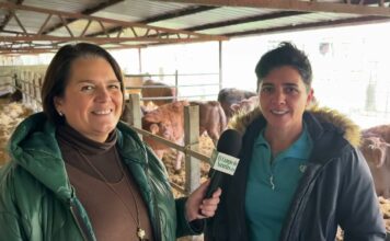 Isabel Pruneda Bode, titular de Ganadería Villa Pruneda y comercializadora Vipru Bimenes