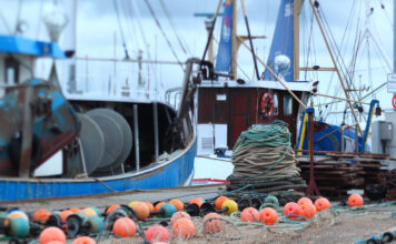 El Gobierno de Asturias pide una aplicación flexible del Reglamento Europeo de Control para proteger la pesca de bajura